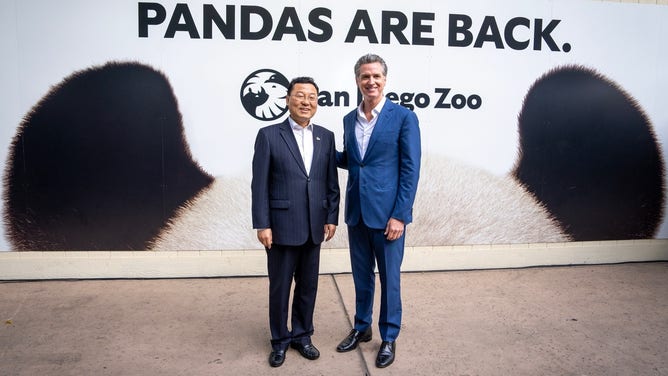 Governor Newsom and Chinese Ambassador to the U.S. Xie Feng at the pandas' debut.