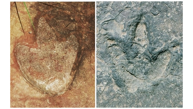 Theropod footprint from Sousa Basin, Lower Cretaceous of Northeastern Brazil. (left)Theropod tracks from the Koum Basin in Cameroon. (right)