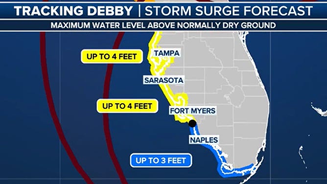 Storm surge map during Debby for Central and South Florida