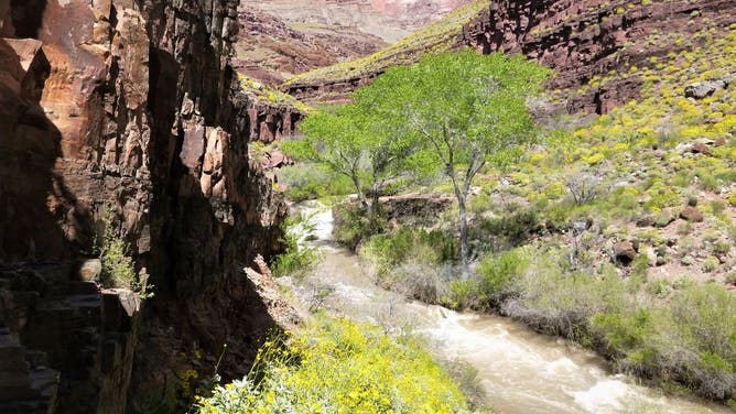 Tapeats Creek as seen from the Thunder River Trail.