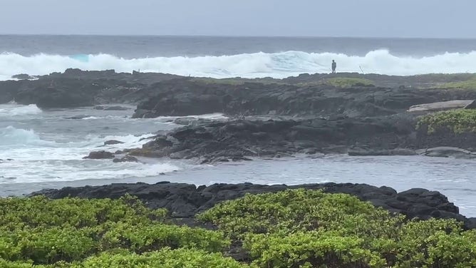 Rough surf and large waves are seen in Hawaii as Hurricane Hone spins to the south of the Big Island.