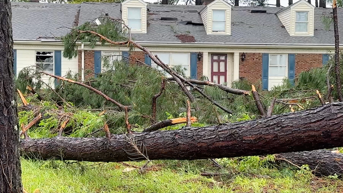 Tropical Storm Debby's impacts turned severe overnight in North Carolina. A likely tornado has caused damage in Wilson County, which is about an hour east of Raleigh, the state capital.