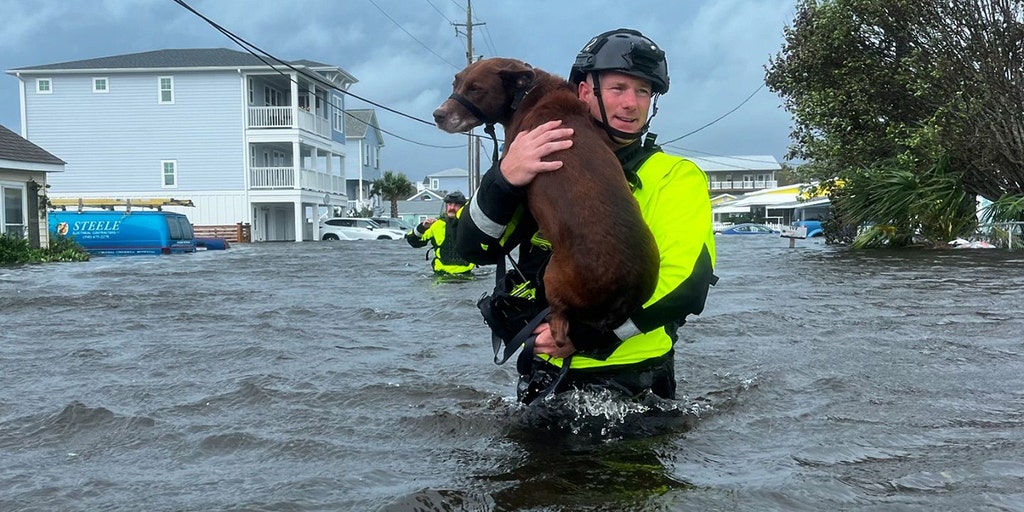 Survey open about local response to unnamed storm in