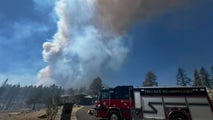 Herd of horses caught on video escaping Nevada’s Davis Fire