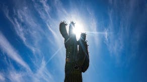 Phoenix hits at least 100 degrees for 100 days in a row, shattering record