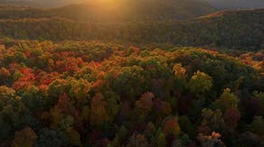 Fall foliage tracker: Where and when to see the most brilliant colors across the US