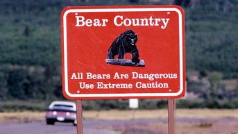 Hiker survives bear attack in Glacier National Park, walks a mile for help - Fox News