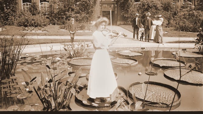 Photo of woman standing on a Victoria Waterlily in Missouri Botanical Garden in 1890.