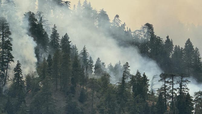 Smoke from the Bridge Fire on a California Hillside