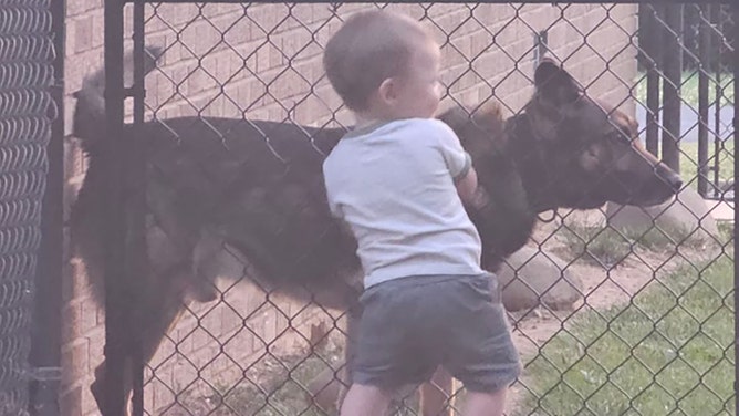 The Erwin Police Department mourns the death of K-9 officer Scotty, who was swept away by the devastating floods in East Tennessee.