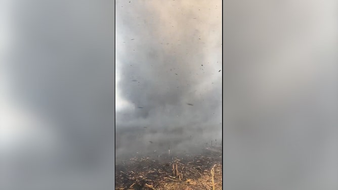 A ferocious grass fire, fueled by relentless winds, raged across Alabama farmland over the weekend.