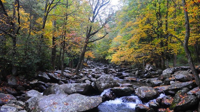 Great Smoky Mountains National Park in the fall.