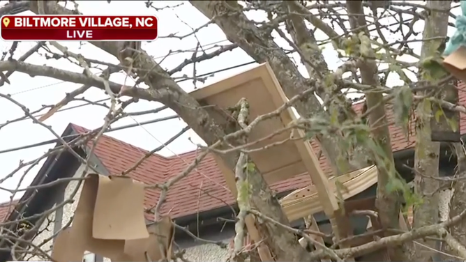 In a video shown during Kiyana Lewis' live report on FOX Weather, a chair can be seen stuck in a tree upwards of 15 feet off the ground, illustrating the remarkable height to which floodwaters rose on Friday.