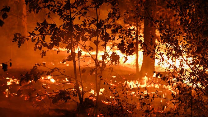 Wildfire photo