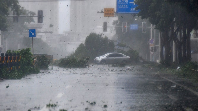 Fallen trees block a road amid strong wind and heavy rain as Typhoon Yagi makes landfall on September 6, 2024 in Wenchang, Hainan Province of China.
