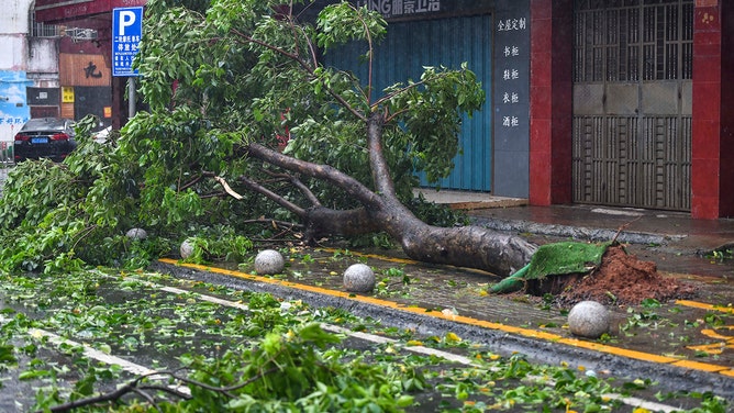 Trees are blown down amid strong wind and heavy rain as Typhoon Yagi makes landfall on September 6, 2024 in Wenchang, Hainan Province of China.
