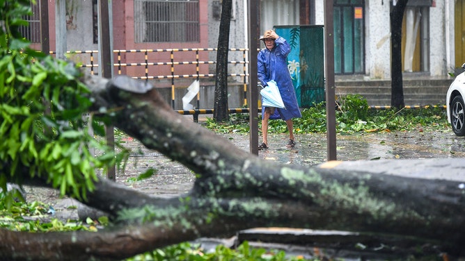 A resident walks past a fallen tree amid strong wind and heavy rain as Typhoon Yagi makes landfall on September 6, 2024 in Wenchang, Hainan Province of China.