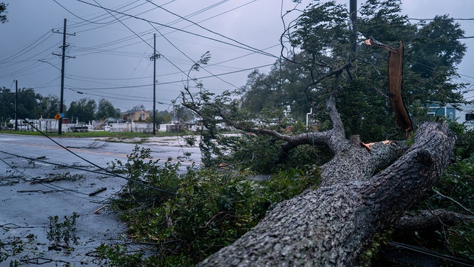 A fallen tree blocks an intersection in Houma, Louisiana on September 11, 2024.