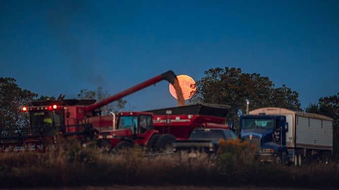 On September 17, 2024, a supermoon will rise over the soybean crop at Malkow Farms in Monroe, Wisconsin.