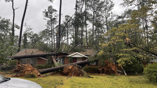 Two large trees that fell onto a home in Augusta, Georgia