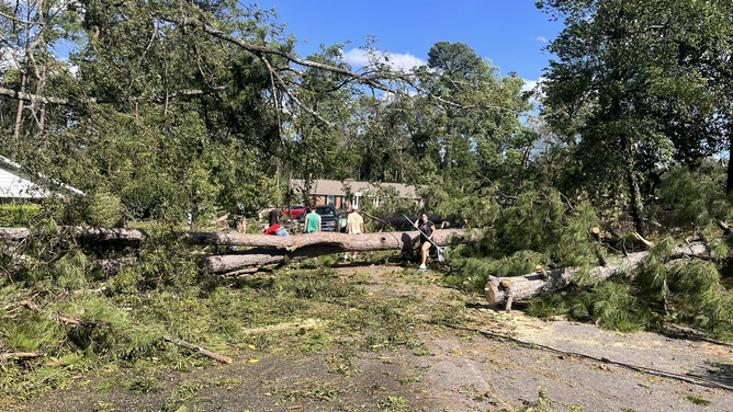 People stand in front of a large tree that fell during Hurricane Helene in Augusta, Georgia.