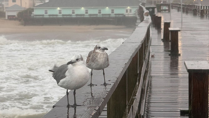 Beachgoers should avoid the ocean for the next few days as potential Tropical Cyclone Eight is creating extremely dangerous surf conditions from Georgia to Virginia. The Carolina coast, including Kure Beach, is at risk of life-threatening rip currents and waves in excess of 10 feet.