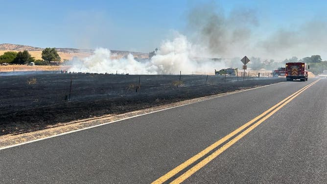 Smoke and burned grass of wildfire where firefighters were swarmed by bees