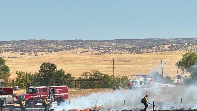 Modesto and CAL Fire units fight wildfire in Stanislaus County, California, where they were swarmed by bees.