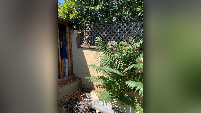 Imagine owning a half-million-dollar home with breathtaking views, just minutes from the bustling city of Los Angeles. However, there's a twist: this Southern California bungalow is only half a house.