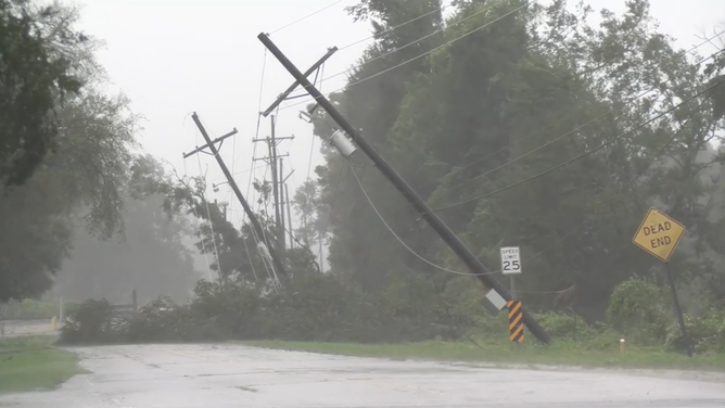 Tree pulling down power lines.