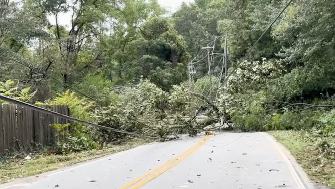 Downed trees take out power lines.