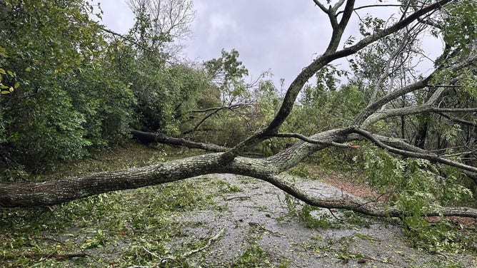 A broken tree limb on a roadway in Augusta, Georgia.