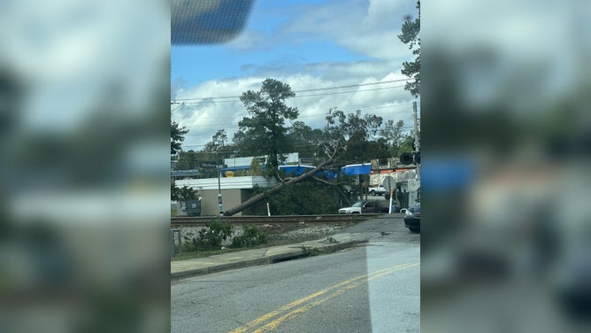 A tree in Augusta, Georgia, that fell onto a building after Hurricane Helene