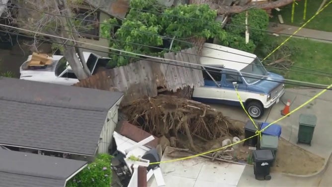 In May, a large tree fell on the house.