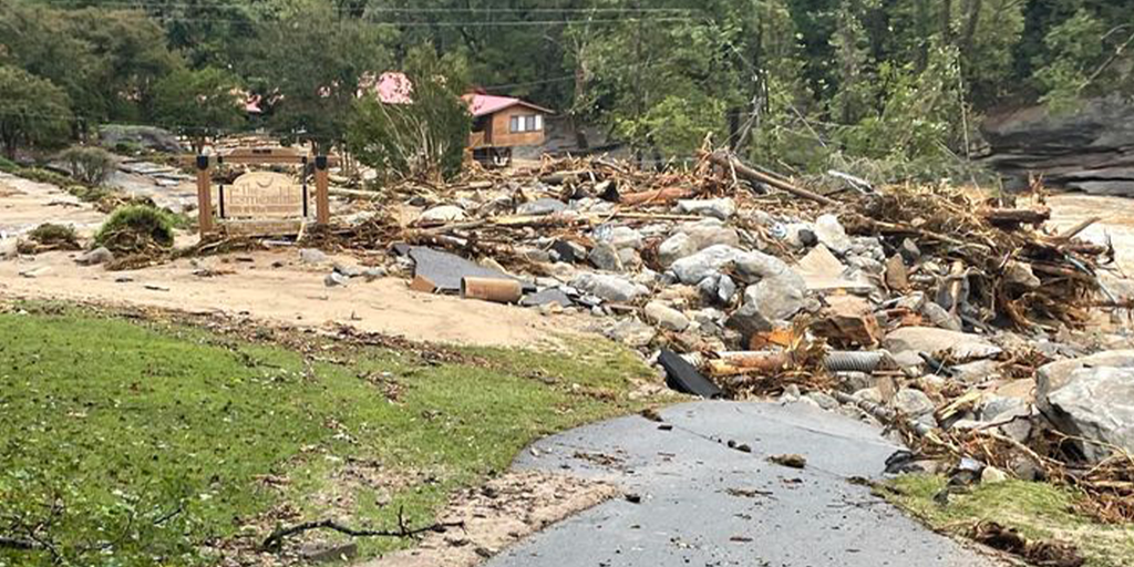 North Carolina is preparing for bee stings after Hurricane Helene