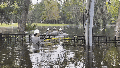 Watch: Florida linemen battle chest-deep waters to keep lights on following Milton - Fox News
