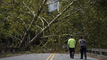 Wildfire risk grows in western North Carolina as gusty winds dry out trees downed by Helene