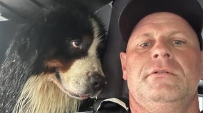 'Dog's eyes say it all' after Florida firefighters rescue him along with dozens more in Milton's floods