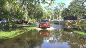 'We got gators in our backyard': Floridians still plagued with floodwaters one week after Milton