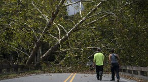 Wildfire risk grows in western North Carolina as gusty winds dry out trees downed by Helene