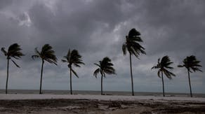 It's Hurricane Preparedness Week. Here's how to get ready