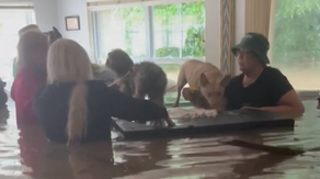 Neighbors stand in chest-deep floodwater in North Carolina home to save pets from drowning during Helene