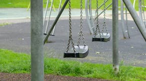 4 elementary students injured after large tree branch falls on Missouri school playground