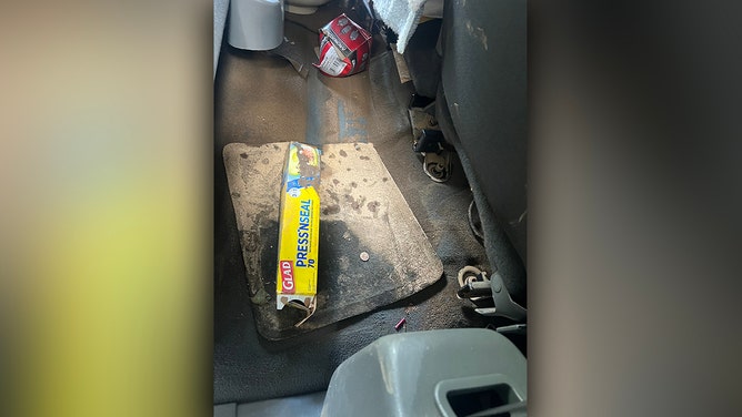 Sheryl Pfeiffer found herself fighting for her life when Hurricane Helene's floodwaters began to rise around her camper in western North Carolina. Stranded at a campground in Asheville, she and her dog, Carley, faced an uncertain future.