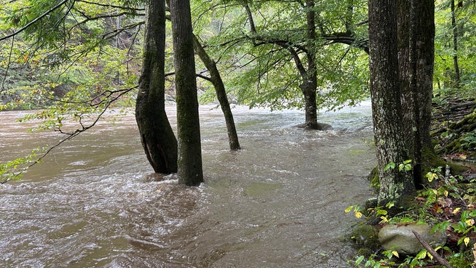 Flooding at the park.