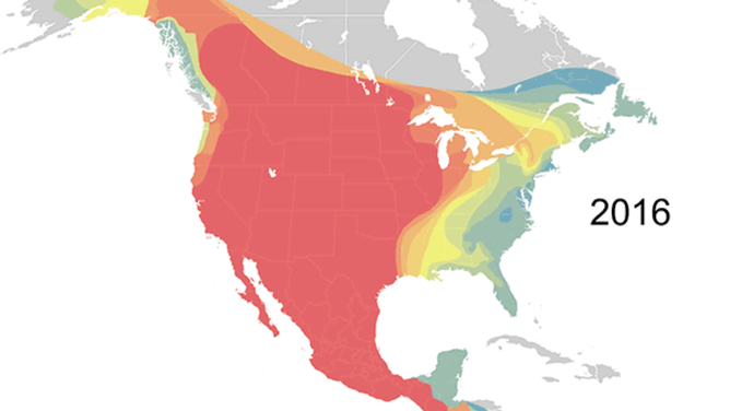 Coyote population distribution map