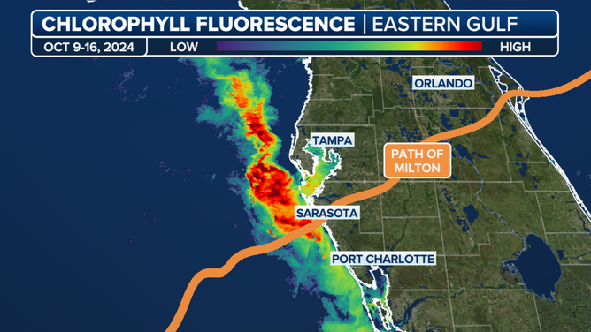 Satellites detected significant levels of chlorophyll fluorescence 