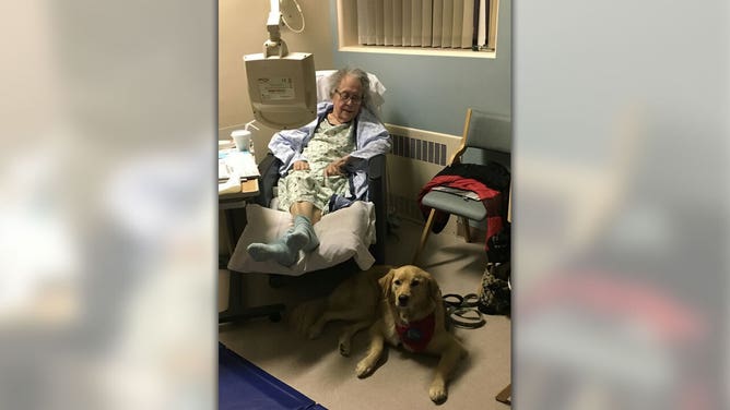 Ben, acting as a therapy dog, helps a patient.