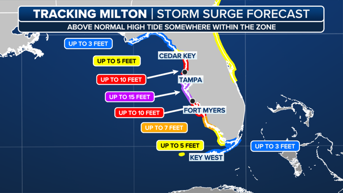 Forecast storm surge height.