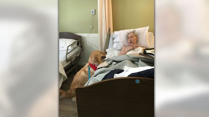 Ben helps a patient in a hospital bed.